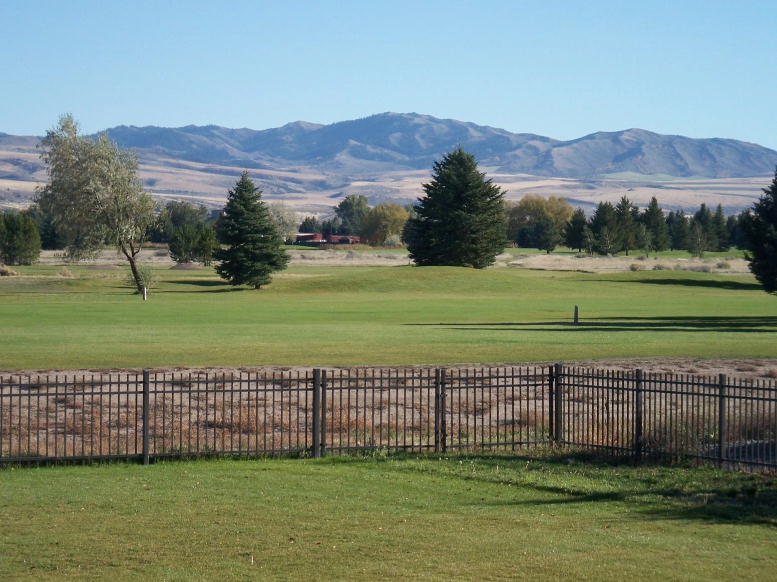 Real Estate Malone Real Estate Solutions